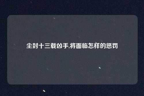 尘封十三载凶手,将面临怎样的惩罚