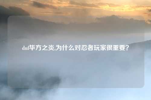 dnf毕方之炎,为什么对忍者玩家很重要？