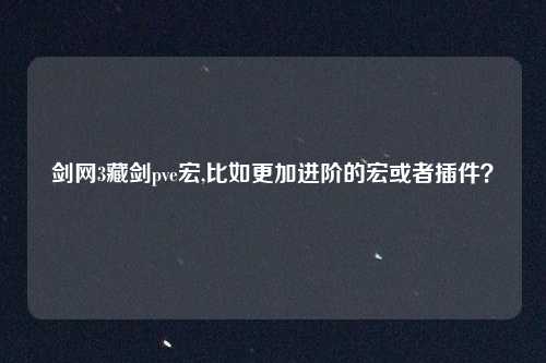 剑网3藏剑pve宏,比如更加进阶的宏或者插件？