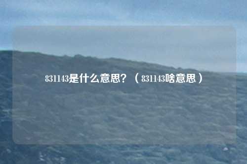831143是什么意思？（831143啥意思）