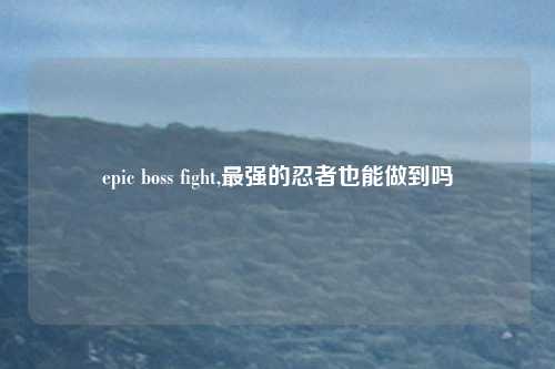 epic boss fight,最强的忍者也能做到吗