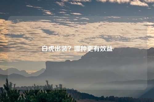 白虎出装？哪种更有效益