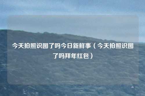 今天拍照识图了吗今日新鲜事（今天拍照识图了吗拜年红包）