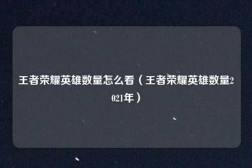 王者荣耀英雄数量怎么看（王者荣耀英雄数量2021年）