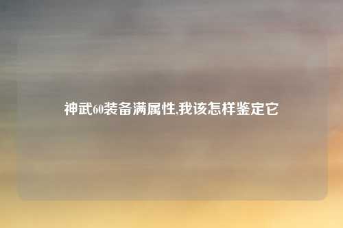 神武60装备满属性,我该怎样鉴定它