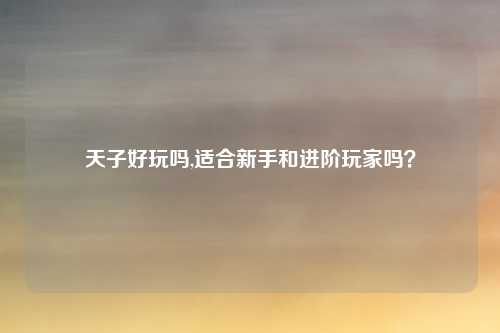 天子好玩吗,适合新手和进阶玩家吗？