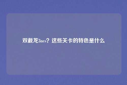双截龙3nes？这些关卡的特色是什么