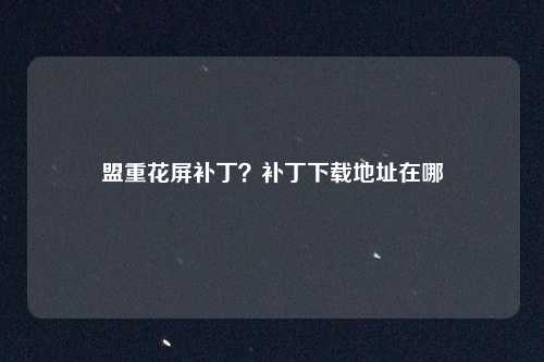 盟重花屏补丁？补丁下载地址在哪