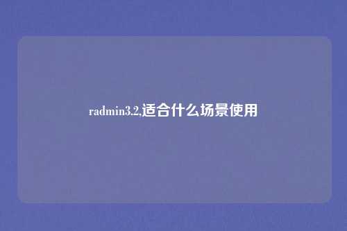 radmin3.2,适合什么场景使用