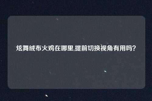炫舞绒布火鸡在哪里,提前切换视角有用吗？