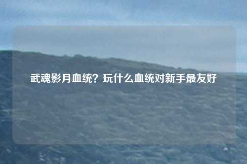 武魂影月血统？玩什么血统对新手最友好