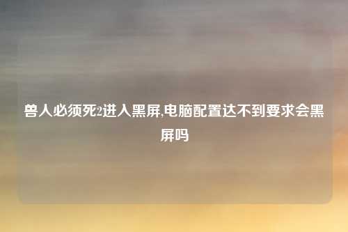 兽人必须死2进入黑屏,电脑配置达不到要求会黑屏吗
