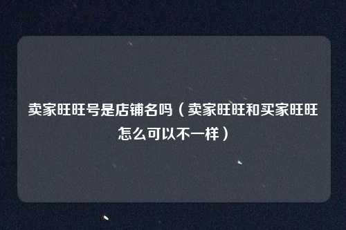 卖家旺旺号是店铺名吗(卖家旺旺和买家旺旺怎么可以不一样)