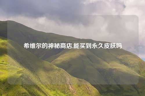 希维尔的神秘商店,能买到永久皮肤吗