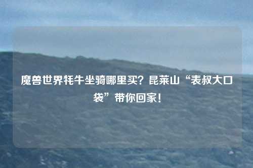 魔兽世界牦牛坐骑哪里买？昆莱山“表叔大口袋”带你回家！