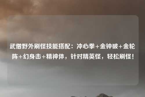 武僧野外刷怪技能搭配：冲心拳+金钟破+金轮阵+幻身击+精神体，针对精英怪，轻松刷怪！