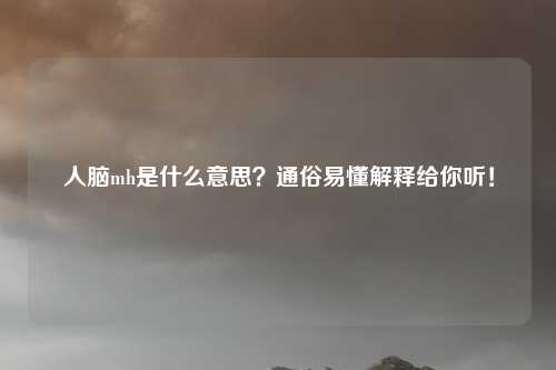 人脑mh是什么意思？通俗易懂解释给你听！