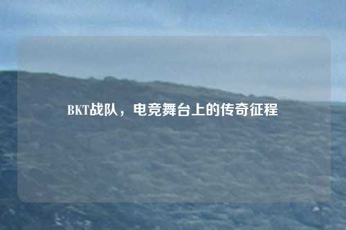 BKT战队，电竞舞台上的传奇征程