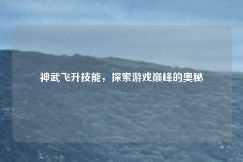 神武飞升技能，探索游戏巅峰的奥秘