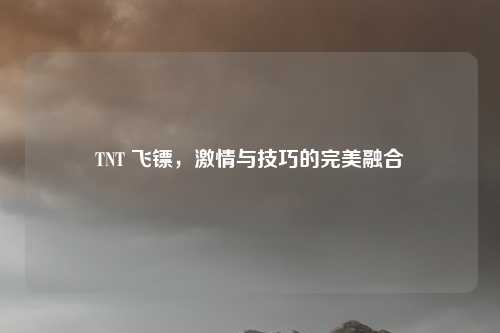 TNT 飞镖，激情与技巧的完美融合