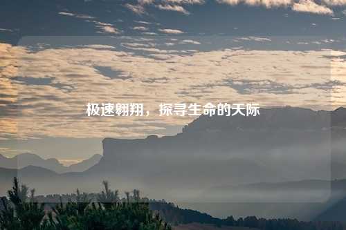 极速翱翔，探寻生命的天际