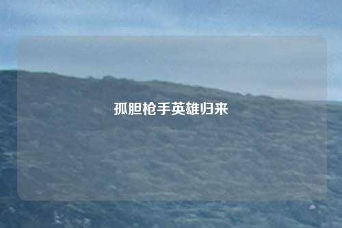 孤胆枪手英雄归来