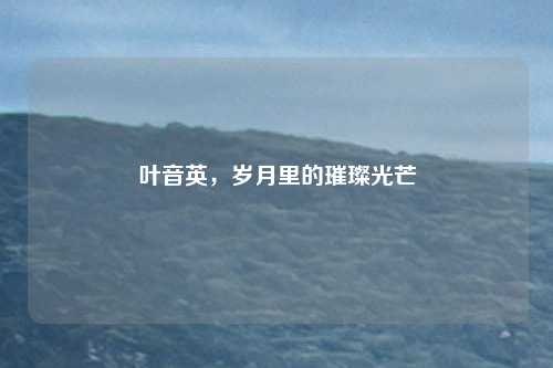 叶音英，岁月里的璀璨光芒