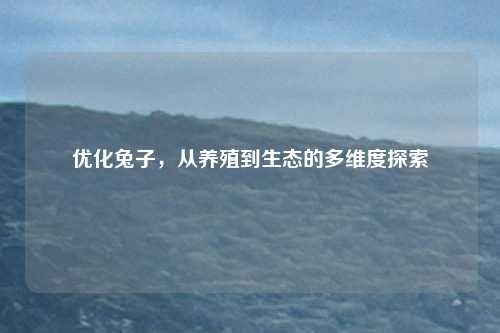 优化兔子，从养殖到生态的多维度探索