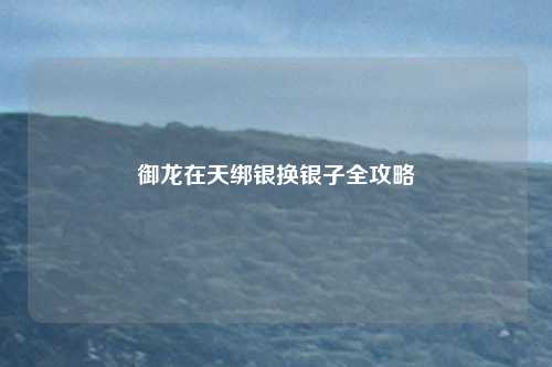 御龙在天绑银换银子全攻略