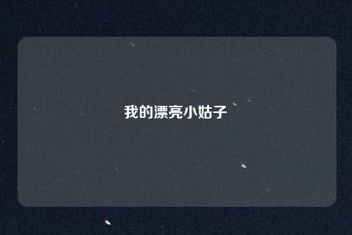 我的漂亮小姑子