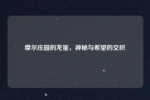 摩尔庄园的龙蛋，神秘与希望的交织