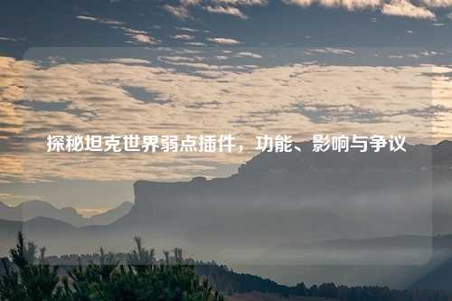 探秘坦克世界弱点插件，功能、影响与争议