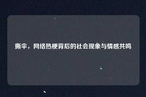 撕伞，网络热梗背后的社会现象与情感共鸣