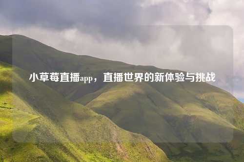 小草莓直播app，直播世界的新体验与挑战