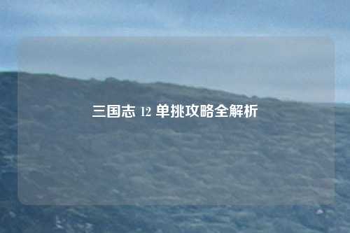 三国志 12 单挑攻略全解析