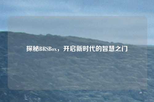 探秘BRSBox，开启新时代的智慧之门