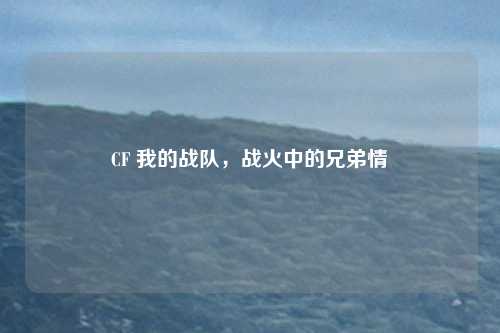 CF 我的战队，战火中的兄弟情