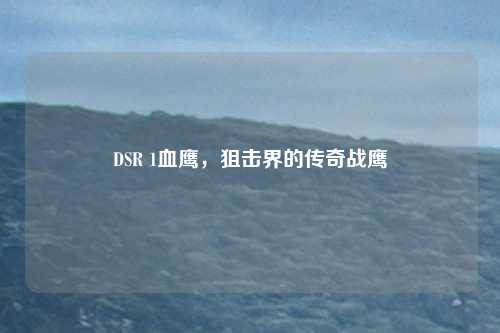DSR 1血鹰，狙击界的传奇战鹰