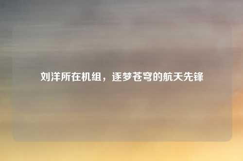 刘洋所在机组，逐梦苍穹的航天先锋