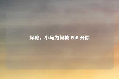 探秘，小马为何被 PDD 开除