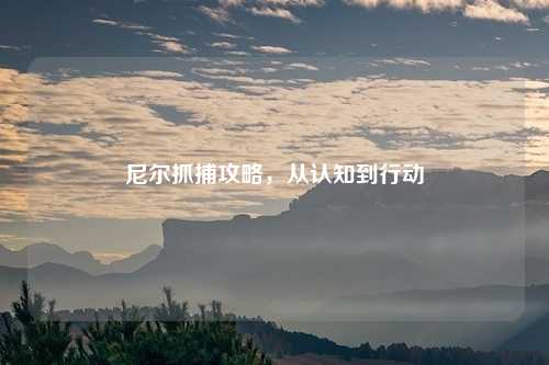 尼尔抓捕攻略，从认知到行动