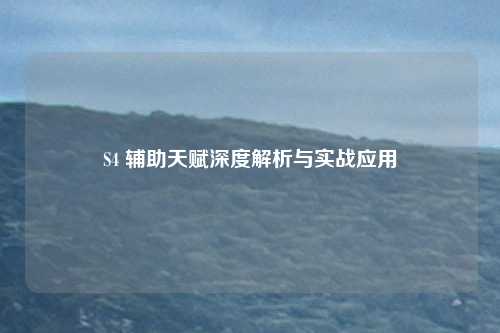 S4 辅助天赋深度解析与实战应用