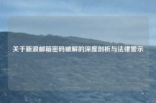 关于新浪邮箱密码破解的深度剖析与法律警示