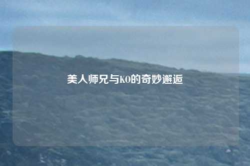 美人师兄与KO的奇妙邂逅