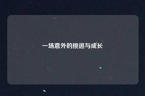 一场意外的挑逗与成长
