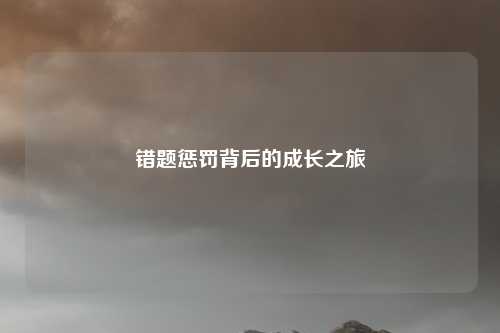 错题惩罚背后的成长之旅