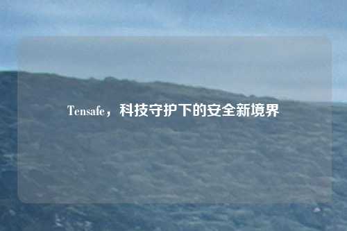 Tensafe，科技守护下的安全新境界