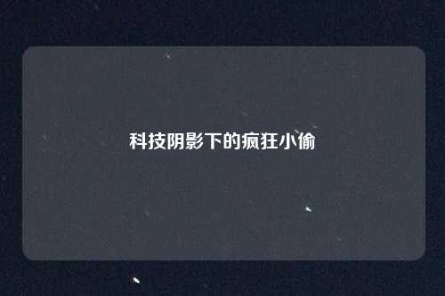 科技阴影下的疯狂小偷