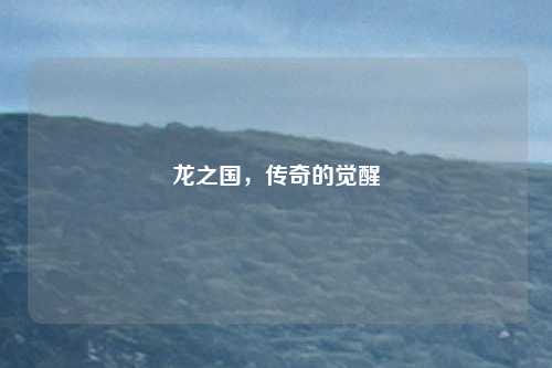 龙之国，传奇的觉醒