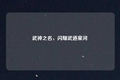 武神之名，闪耀武道星河